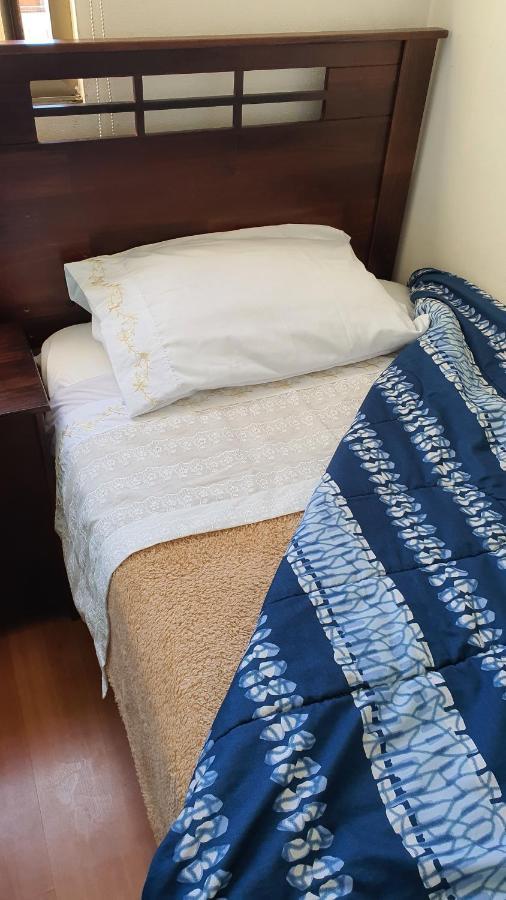 Apartament Metro Manuel Montt Santiago de Chile Zewnętrze zdjęcie
